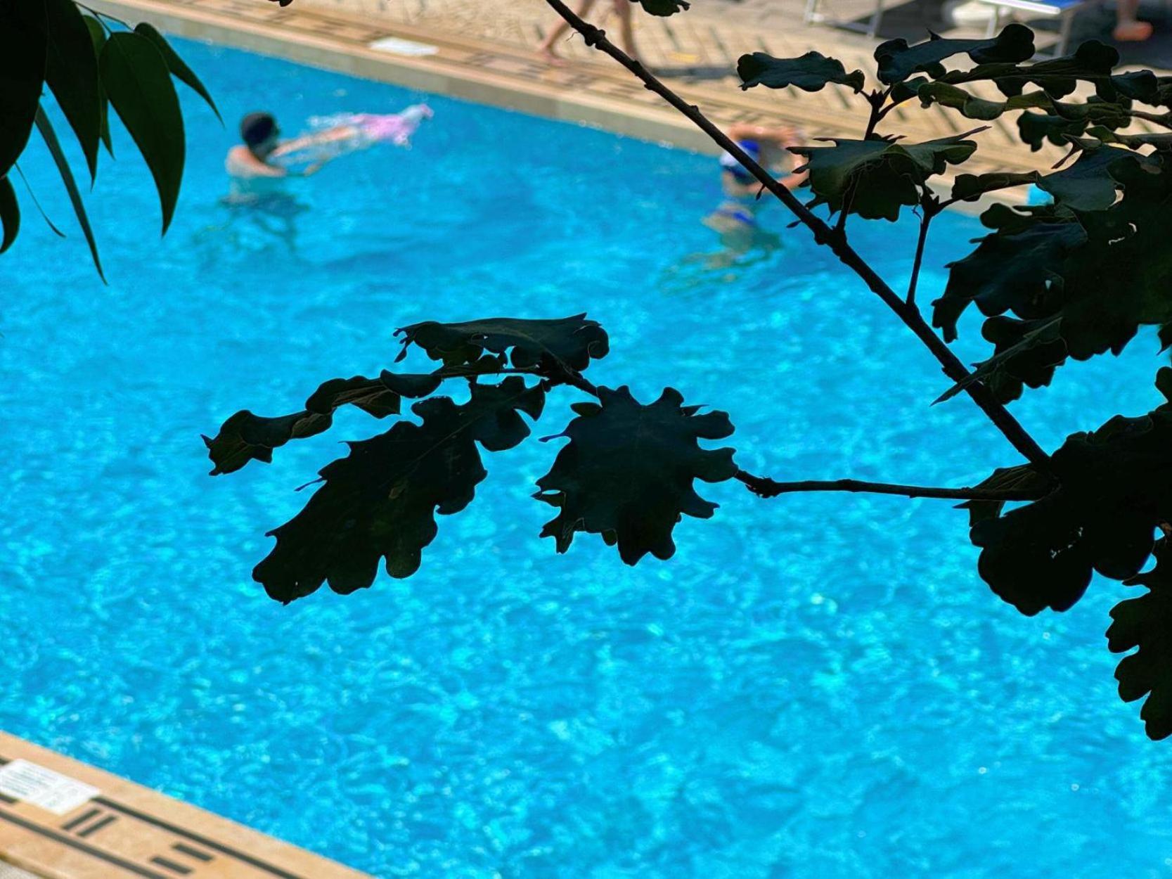 Village Camping Santa Fortunata - Campogaio Sorrento Eksteriør bilde